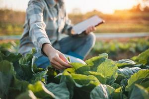 asian woman use tablet to check vegetable growing information in the garden photo
