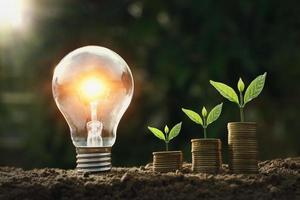 light bulb on soil with young plant growing on money stack. saving finance photo