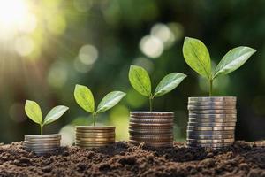 paso de crecimiento de plantas en monedas. concepto finanzas y contabilidad