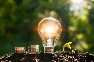lightbulb with plant growing and money in jug glass on soil in nature. saving energy power. finance accounting concept