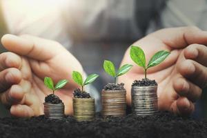 hand protect money stack with plant growing on coins. concept finance photo