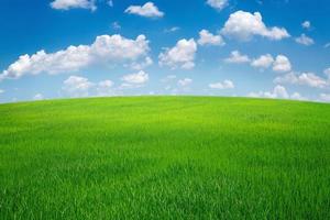 campo de hierba verde con cielo azul y nubes blancas. fondo de paisaje de naturaleza foto