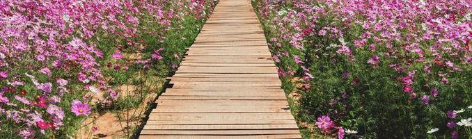 wooden bridge with flowers in the park photo
