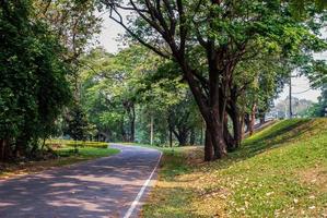 road in the forest photo