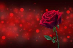 flor rosa roja sobre un fondo rojo para el día de san valentín foto