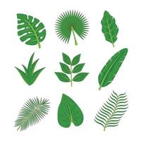 TROPICAL LEAVES ICONS vector