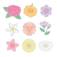 colección de iconos de flores vector