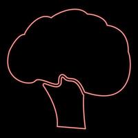 Neon broccoli red color vector illustration flat style image