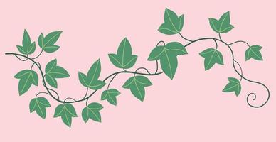 Simplicity ivy freehand drawing flat design. vector