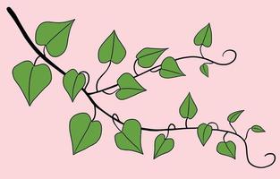 Simplicity ivy freehand drawing flat design. vector