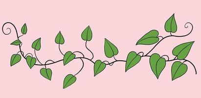 Simplicity ivy freehand drawing flat design. vector