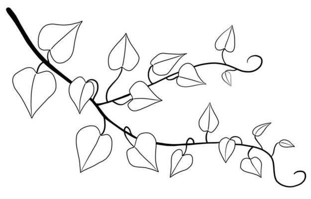 Simplicity ivy freehand drawing flat design.