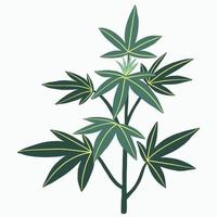 Simplicity cannabis plant freehand drawing flat design. vector
