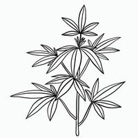 Simplicity cannabis plant freehand drawing flat design. vector