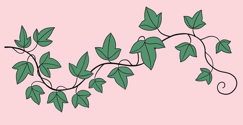 Simplicity ivy freehand drawing flat design.