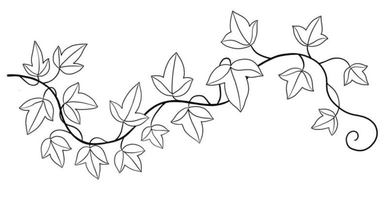 Simplicity ivy freehand drawing flat design.