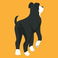 Backside of dog vector