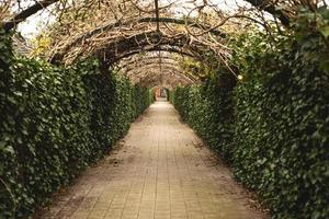 arch with a tunnel made of wicker woven photo