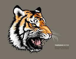 Tiger Head Vector Illustration. Vector template mascot.