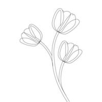 Dibujo de líneas de flores para colorear página de un objeto de rama floreciente en un fondo aislado vector