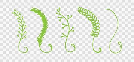Vector branches and leaves. Hand drawn floral elements vector