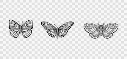 Silhouettes of butterflies vector