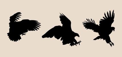 eagle silhouettes set vector