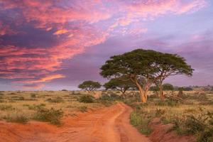 Sunrise at Murchison Falls National Park, Uganda photo