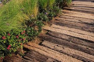 camino de madera con hierba y flores foto
