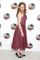 Pasadena, CA, Jan 10, 2017 -Mirielle Enos at the Disney ABC TV TCA Winter TV TCA 2017 Party at The Langham Hotel photo