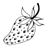 Strawberry vector icon. Black contour of berries isolated on a white background. Trendy flat style, doodle illustration.