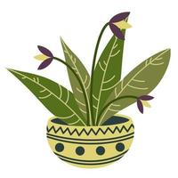 Vector illustration of a indoor flower in a pot. Isolated image of a home plant in a pot on a white background. Large green leaves and purple flowers, simple flat style