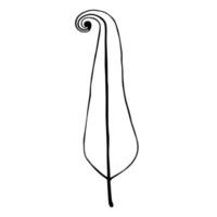 Vintage bird feather. Isolated image of a feather on a white background. Simple black outline, doodle illustration vector