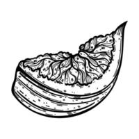 icono de vector de rebanada de higo. boceto vintage de fruta de jardín madura con pulpa sabrosa, semillas. contorno monocromático de la planta vegetariana. pedazo de postre exótico. ilustración dibujada a mano aislada en blanco