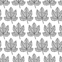 Fig leaf seamless vector pattern. Botanical element with veins, on the stem. Monochrome sketch of a garden plant. Fruit tree leaf outline. Hand drawn illustration isolated on white background