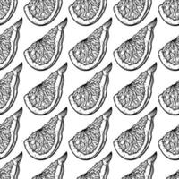 Fig slice seamless vector pattern. Sketch of ripe garden fruit with tasty pulp, seeds. Monochrome outline of vegetarian plant. Piece of exotic dessert. Hand drawn botanical background