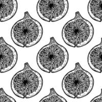 Half fig seamless vector pattern. Sketch of ripe garden fruit with tasty pulp, seeds. Monochrome engraving of vegetarian plant. Slice of exotic dessert. Hand drawn botanical background