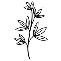 Vector illustration of a silhouette of a branch with leaves. Isolated botanical element on a white background. Hand drawn doodle, black outline