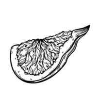 Fig slice vector icon. Vintage sketch of ripe garden fruit with tasty pulp, seeds. Monochrome engraving of vegetarian plant. Piece of exotic dessert. Hand drawn illustration isolated on white