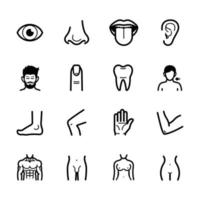Human Anatomy icons with White Background vector