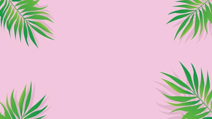 Tropical palm leafs flat lay top view. Summer background concept