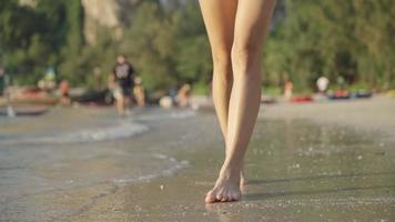 toma en ángulo bajo de piernas femeninas jóvenes caminando por la playa de arena con un turista ocupado en el fondo, destino de viaje tropical de vacaciones de verano, sol y arena de olas, paraíso isleño, clima cálido y soleado video