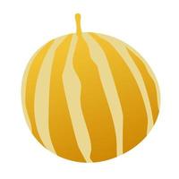 Muskmelon fruit cartoon. vector