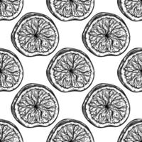 Round fig slices seamless vector pattern. Sketch of garden fruit with tasty pulp, seeds. Black outline of vegetarian plant. Piece of exotic dessert. Hand drawn monochrome background