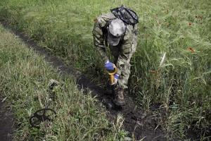 Soldier using a metal detector in fields photo