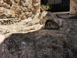 A view of the Garden of Gethsemane in Jerusalem in Israel photo