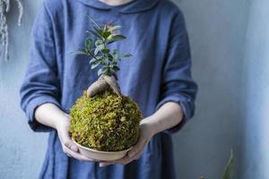 kokedama with bonsai tree or succulent tree in the hands of female close up photo