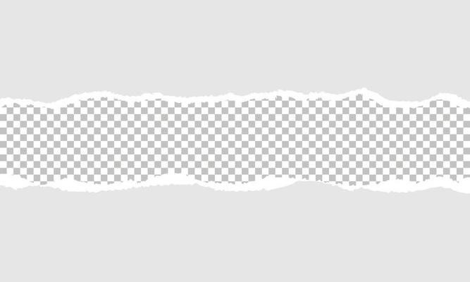Torn paper vector background template