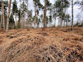 una vista de la campiña de shropshire en haughmond hill foto