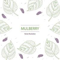 Mulberry leaf and fruit hand drawing background, vector illustration.